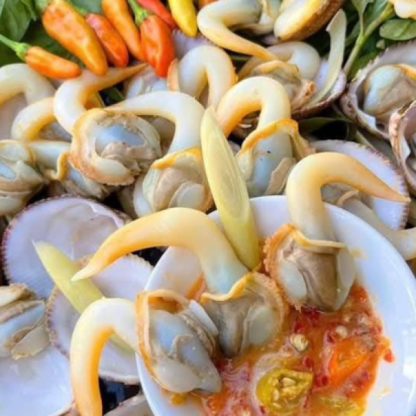 SÒ DƯƠNG HẤP SẢ