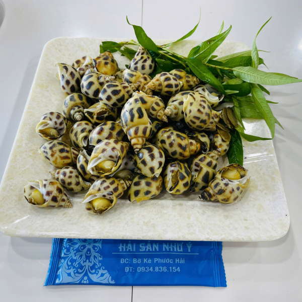 ỐC HƯƠNG HẤP SẢ
